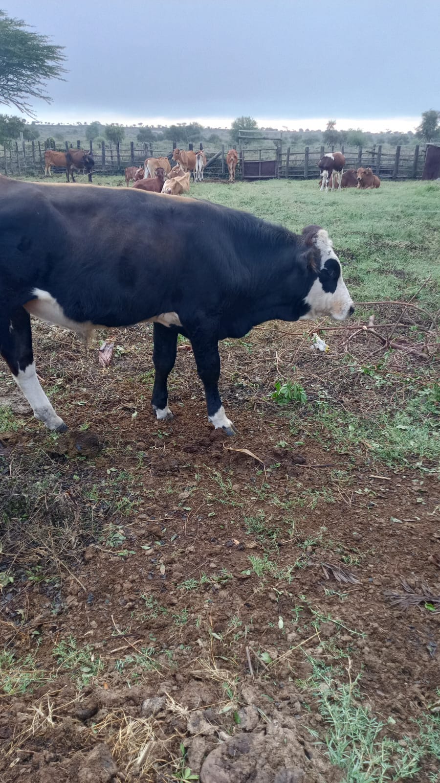 Community engagement