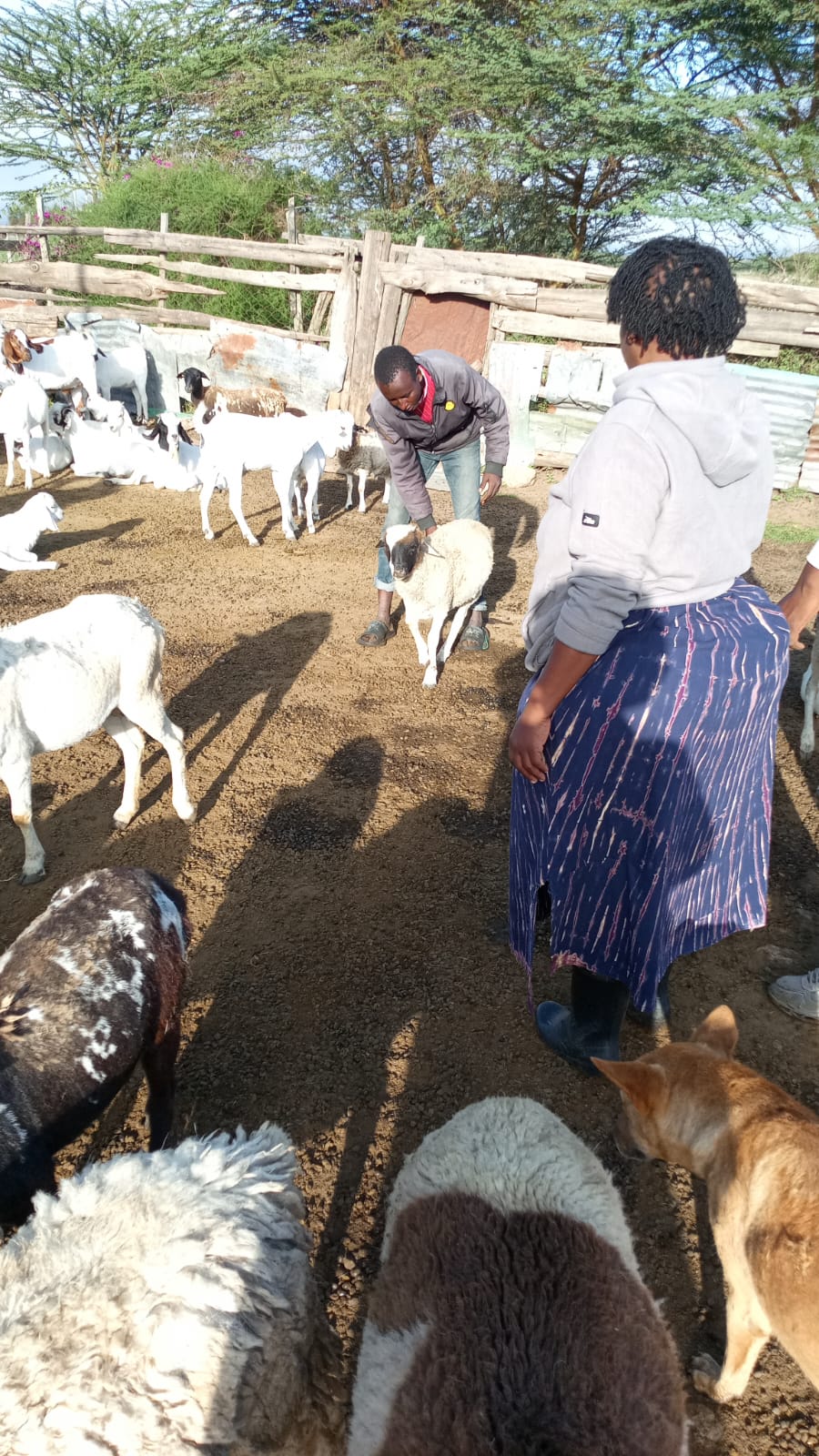 Project implementation